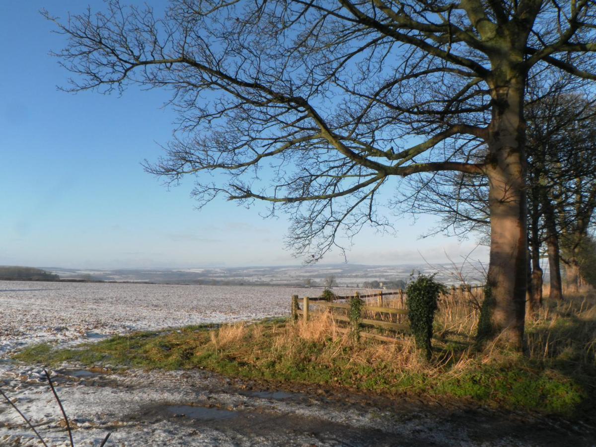 Little Byre Cottage Sutton エクステリア 写真